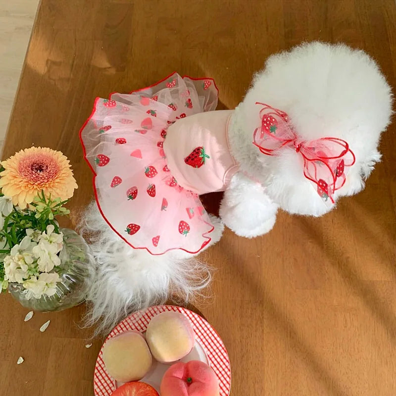 舒适的 Daisy 小狗连衣裙