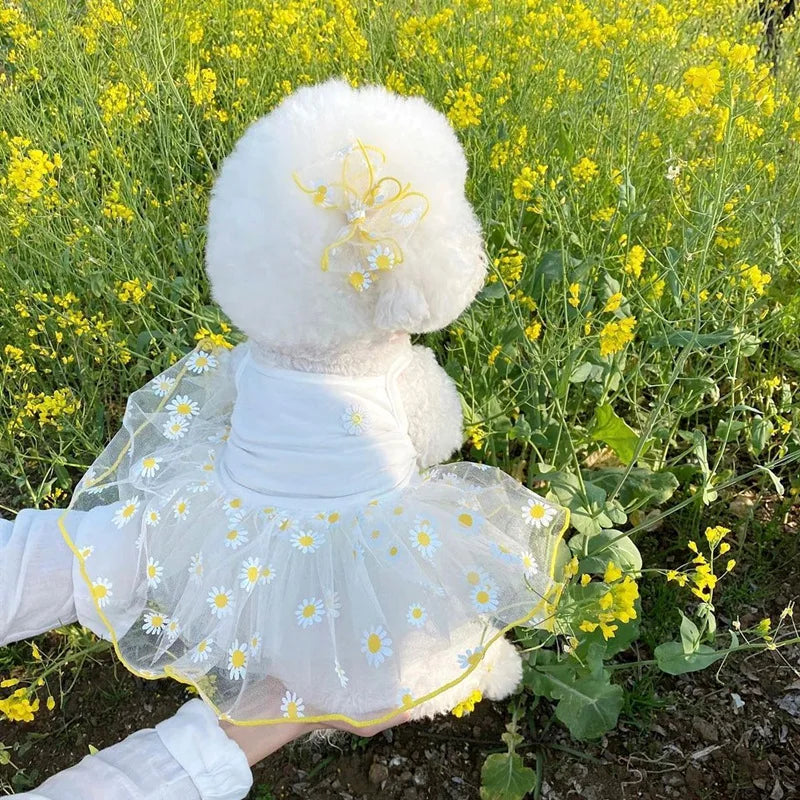 舒适的 Daisy 小狗连衣裙
