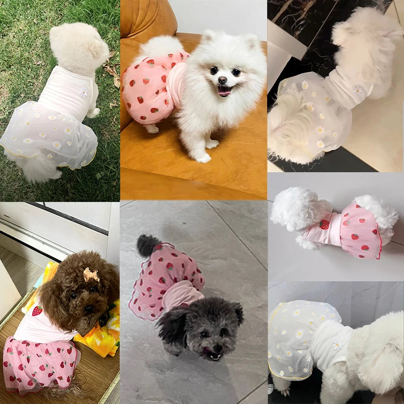 舒适的 Daisy 小狗连衣裙