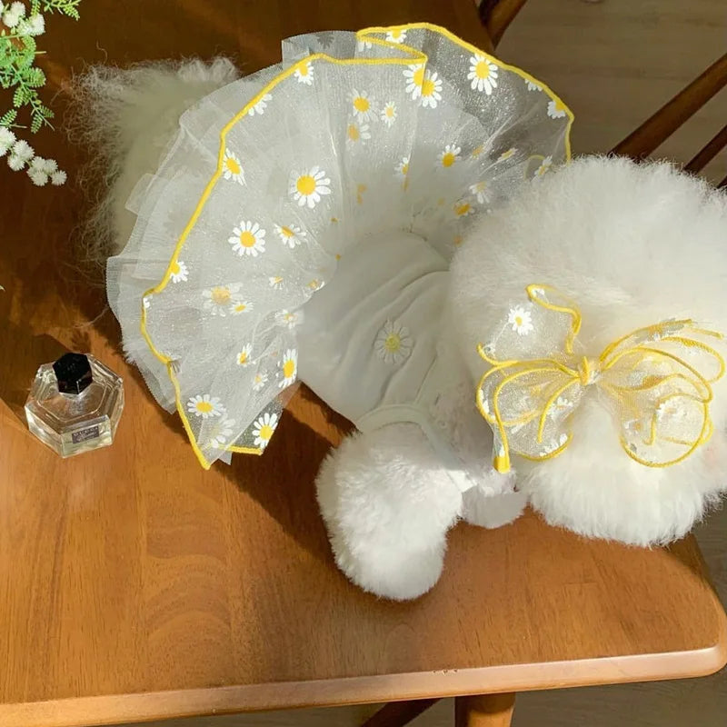 舒适的 Daisy 小狗连衣裙
